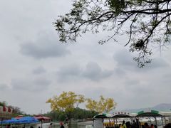 -石家庄市植物园