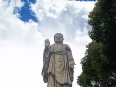 -灵福缘私房菜·农家菜(拈花湾·灵山大佛必推店)