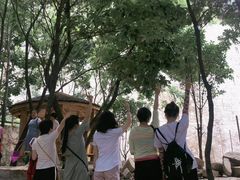 -方城县七峰山生态旅游区