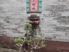 -碧江金楼