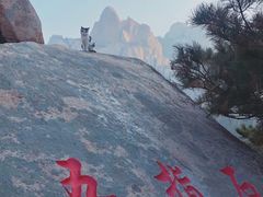 -崂山仰口游览区
