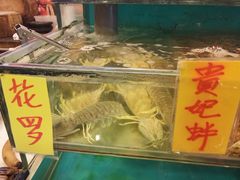 -鲜入围煮花胶鸡海鲜火锅