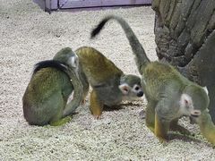 -哈尔滨极地公园