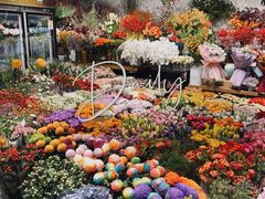 -双季花艺园艺市场(浦东店)