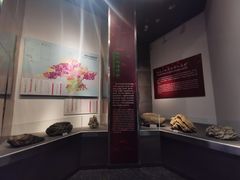 -烟台自然博物馆