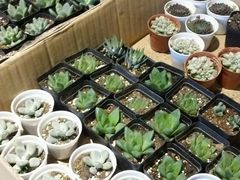 -密讯馆密室逃脱&换装侦探剧(环球港旗舰店)