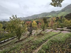 -塔川景区