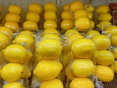 -T11生鲜超市(朝阳公园店)