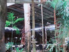 -绿光森林餐厅