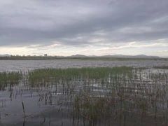 -绿堤公园