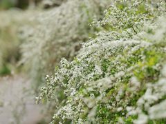 -共青国家森林公园-售票处