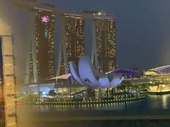 -新加坡文华东方酒店