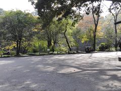 -灵谷景区