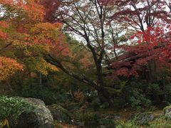 -常寂光寺