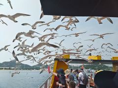 -海驴岛(荣成市)