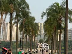 -南宁南湖公园