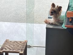 -麻雀咖啡SPARROW COFFEE(十全街店)