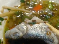 -香坝坝鲜鱼火锅(春熙路店)