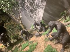 -北京周口店北京人遗址博物馆