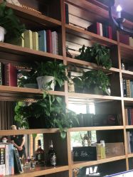 -谦亨·Hair·Salon