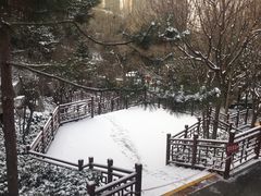 -西安曲江寒窑遗址公园