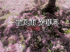 -苏州河梦清园环保主题公园