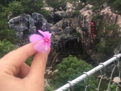 -清境桃源
