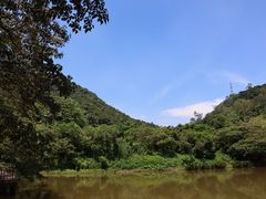 -鼎湖山风景区