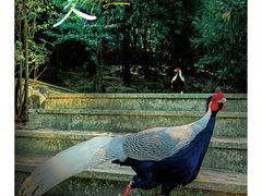 -广州市白云山风景名胜区