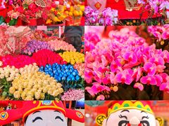 -越秀西湖花市(广州城市广场花卉店)