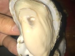 -八一湛江生蚝(文明东路总店)