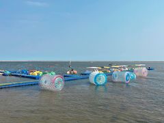 -碧海金沙