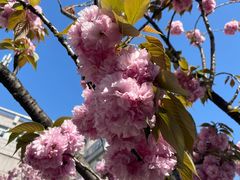 -星巴克臻选(嘉定疁城国际店)