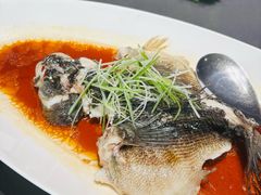 -曼格纳·曼芯馆(杨浦店)