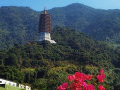 -深圳仙湖植物园