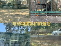 -秦皇岛野生动物园