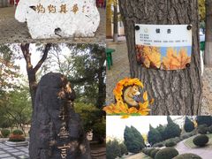 -辽宁大学(崇山校区)