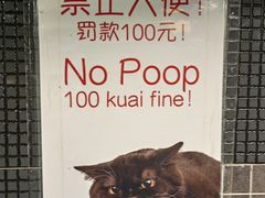 -萨尔瓦多Salvador's