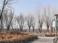 -大兴滨河森林公园