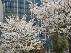 -其昌栈渡口(轮渡站)