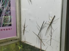 -上海昆虫博物馆