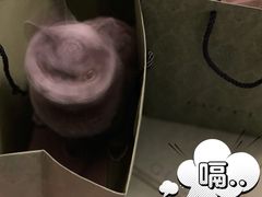 -Gucci(北京SKP店)