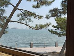 -海草馆自助餐厅(悦海店)