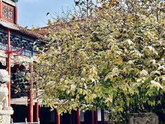 -章华寺