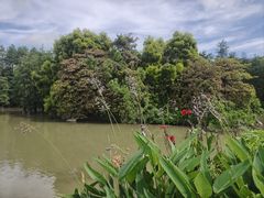 -广州市第二少年宫