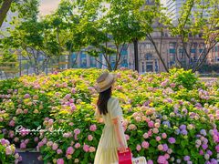-LE JARDIN de Joel Robuchon(新世界大丸百货店)