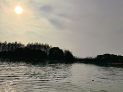 -苏州太湖国家湿地公园