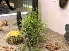 -OUR Bakery(SKP-S店)