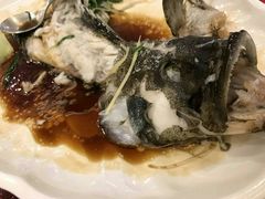 清蒸石斑鱼-北海渔村酒楼·粤菜海鲜点心(新华店)