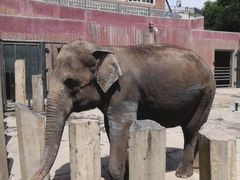 -大连森林动物园